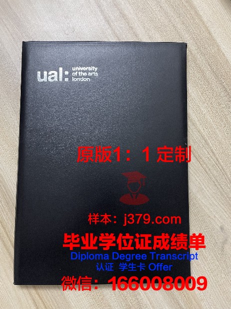 法兰克福音乐和艺术表演学院毕业学位