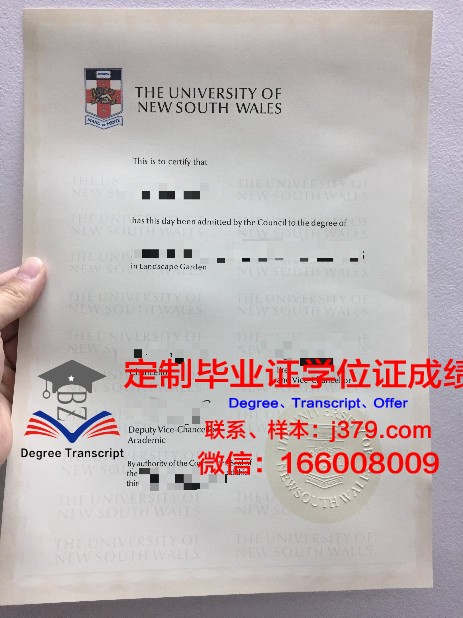 GT大学本科毕业证：一张纸的重量与价值
