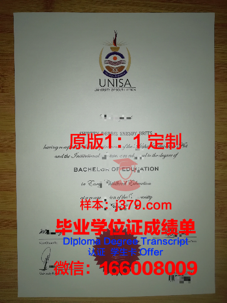 拿到国外毕业证后怎么办(国外毕业证好拿吗)