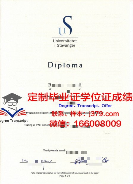 挪威科技大学毕业证成绩单图片(挪威科技大学吧)