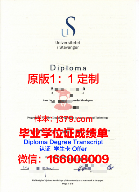 挪威科技大学毕业证成绩单图片(挪威科技大学吧)
