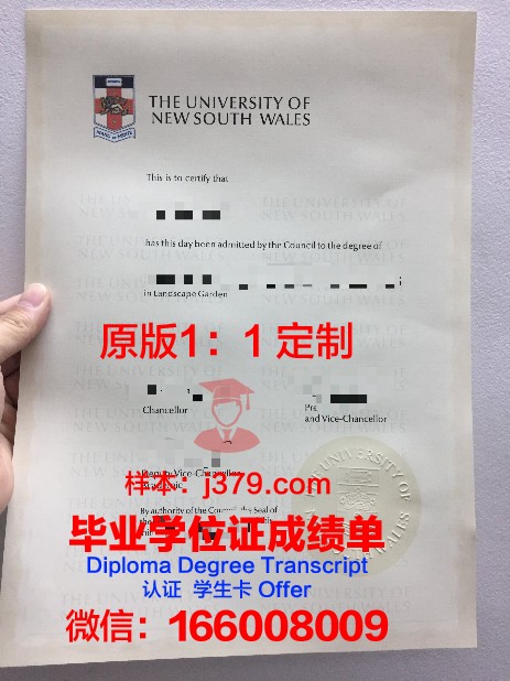 法兰克福音乐和艺术表演大学 diploma 毕业证