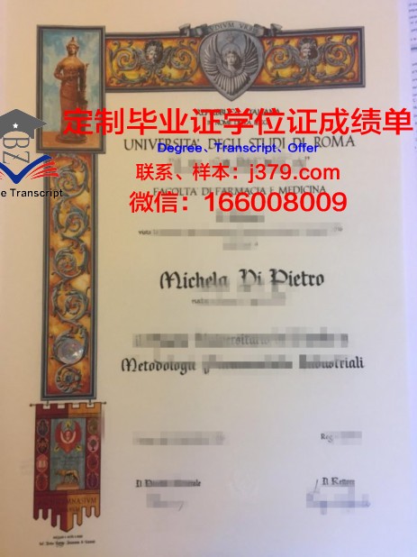 罗马艺术产业高等研究院博士毕业证：一份跨越时空的荣誉证书