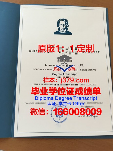 法兰克福大学毕业证(法兰克福大学mmf)
