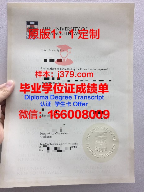 美因茨应用技术大学毕业证(美因茨应用科技大学)