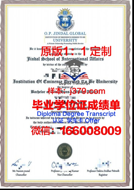 萨达尔帕特尔大学博士毕业证书(萨省大学博士)