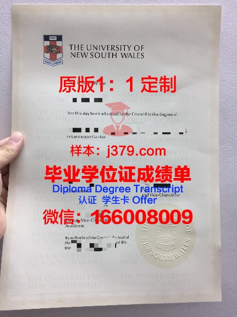 Groningen本科毕业证：跨越国界的学术荣耀