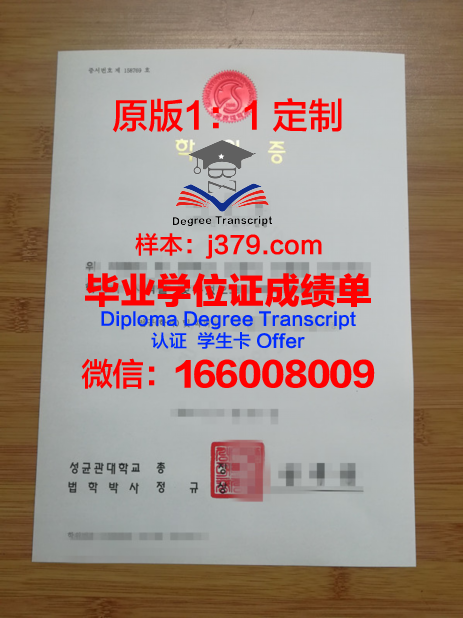 罗马大本科学位证：穿越时空的学术荣耀