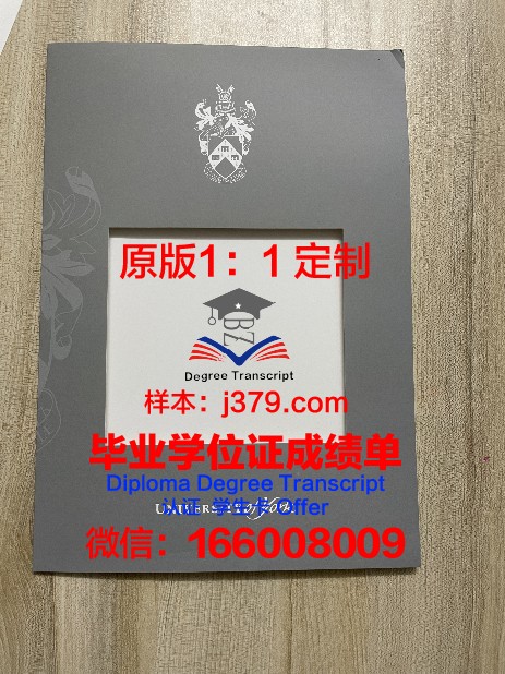 约克大学成绩单翻译模板(约克大学成绩要求)