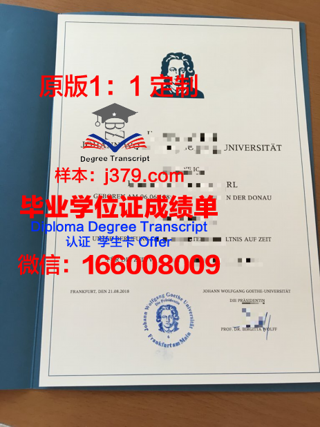 法兰克福国立造型与艺术设计学院毕业学位