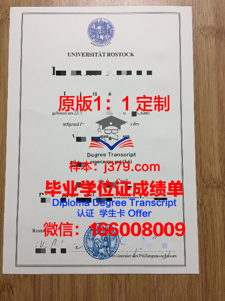 罗斯托克大学diploma证书(罗斯托克大学强势专业)