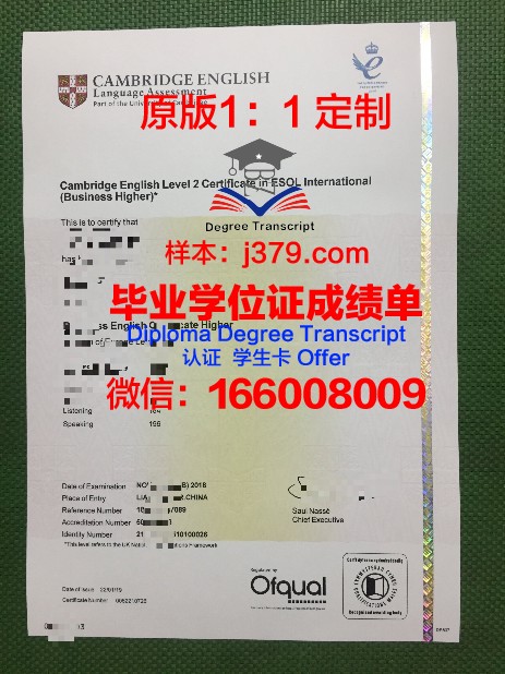 美因茨大学毕业学位证书(美因茨大学毕业学位证书图片)