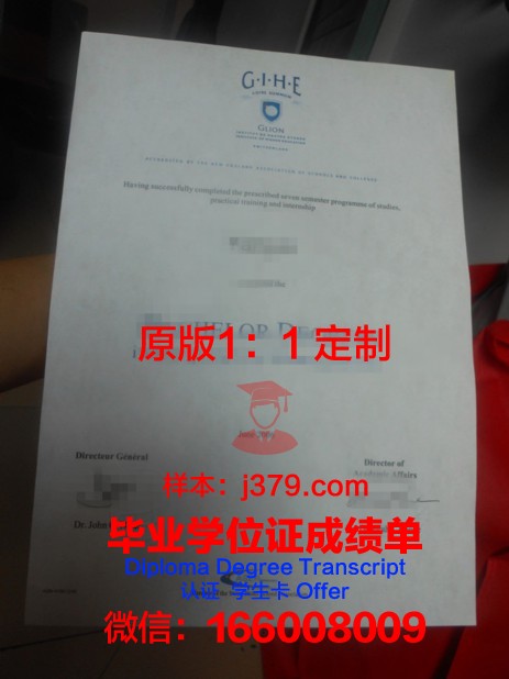 法国里昂国立应用科学学院工程师文凭国内就业如何(法国里昂国立应用科学学院世界排名)