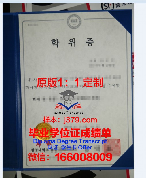 罗斯托学位证成绩单：揭示历史变迁中的教育发展轨迹