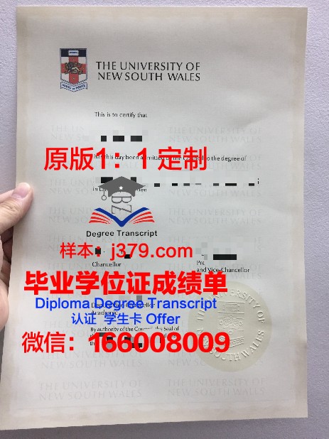 美因硕士毕业证：一张开启未来的通行证