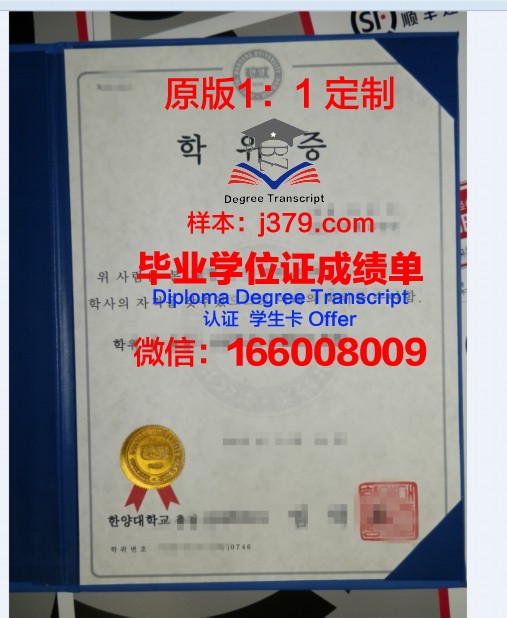 拉维大博士学位证：一份跨越时空的荣誉见证