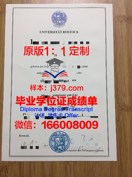罗斯托克大学学位证书(罗斯托克大学强势专业)