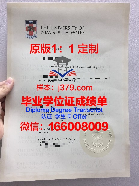罗涅大毕业证：一张承载荣誉与梦想的纸