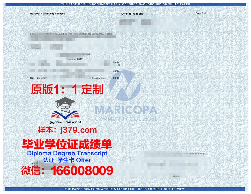 绿河学院成绩单(绿河大学官网)
