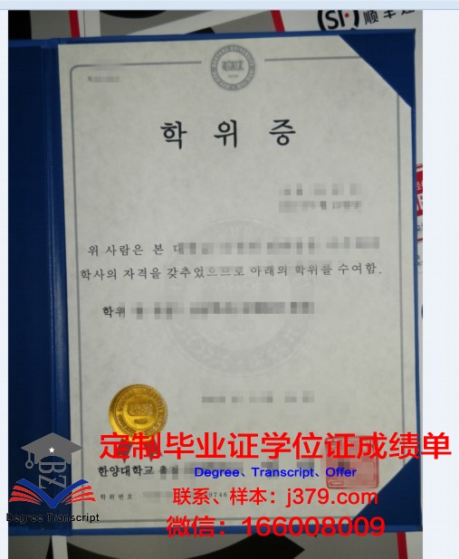罗马大学硕士学位证：一份跨越时空的学术荣耀
