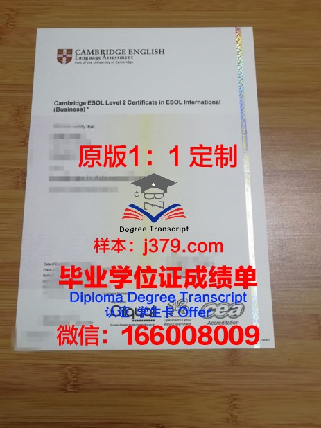 拉贾斯坦大学毕业证书图片(拉贾斯坦大学毕业证书图片大全)