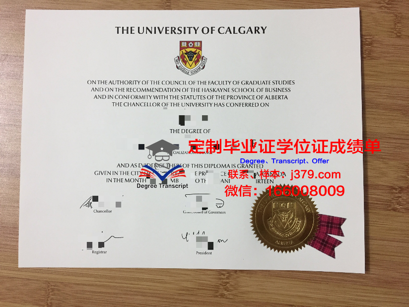 瑟克特夫卡尔国立大学毕业证外壳