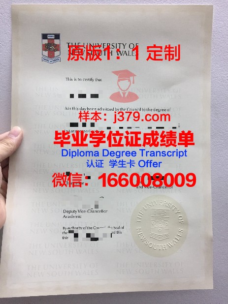 汉院博士毕业证：跨越学术巅峰的荣耀证书