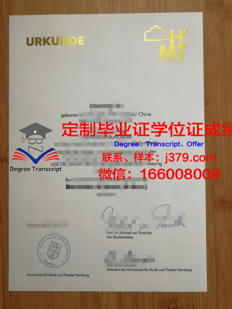 汉堡应用技术大学毕业证学位证(汉堡国际工程学院)