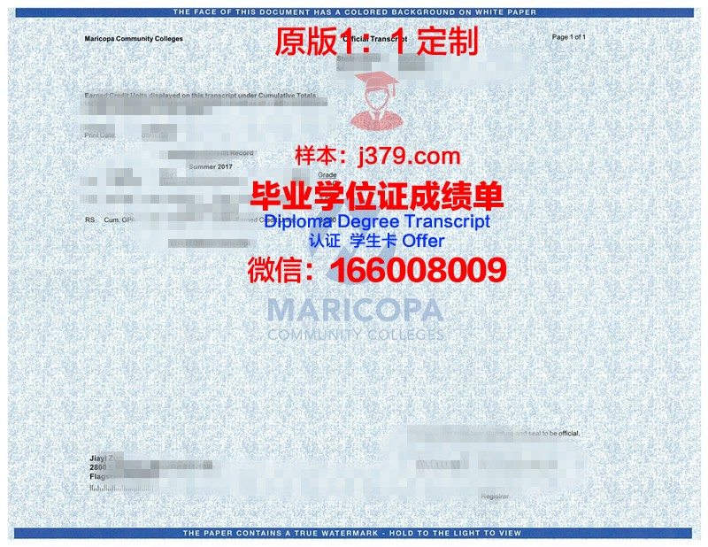 水大学位成绩单定制：为学生提供个性化服务的新趋势