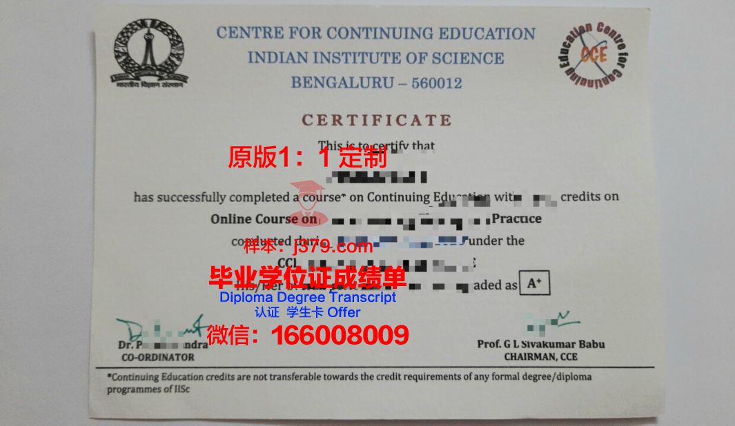 鲁昂国立应用科学学院毕业证等级(法国鲁昂国立应用科学学院排名)