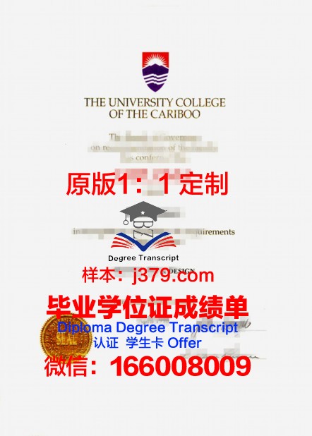 沙希德佐勒菲卡尔·阿里·布托科技学院学位成绩单定制：为学生提供专业服务