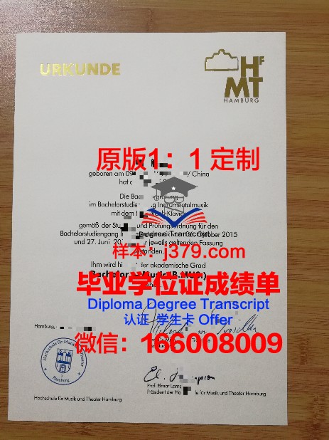 汉堡大学毕业证高清图(汉堡大学哪些专业好)