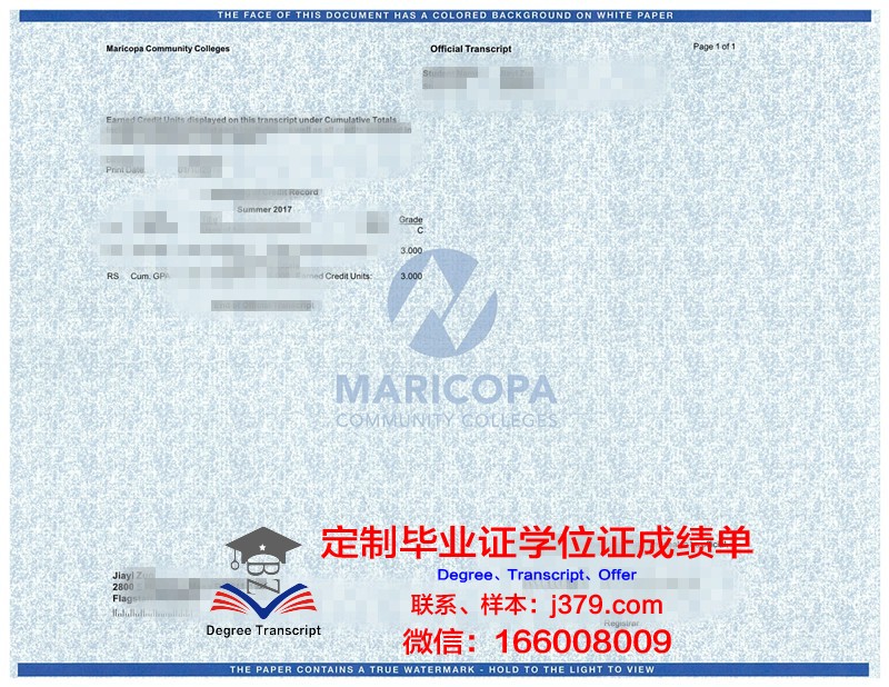 青森中央学院大学成绩单：记录学子成长的足迹