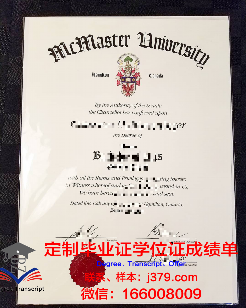 麦克马斯特大学毕业证成绩单(麦克马斯特大学奖学金要求)