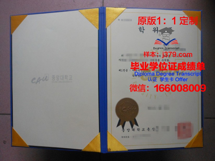 韩国中央大学成绩单怎么打印(韩国中央大学成绩单怎么打印的)
