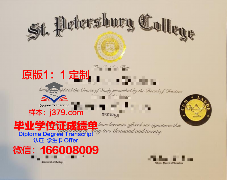 俄罗斯圣彼得堡国立理工大学的毕业证都能做(圣彼得堡国立理工大学费用)