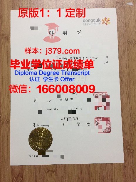 韩国高等科技学院毕业证图片高清(韩国科技高中属于什么学历)