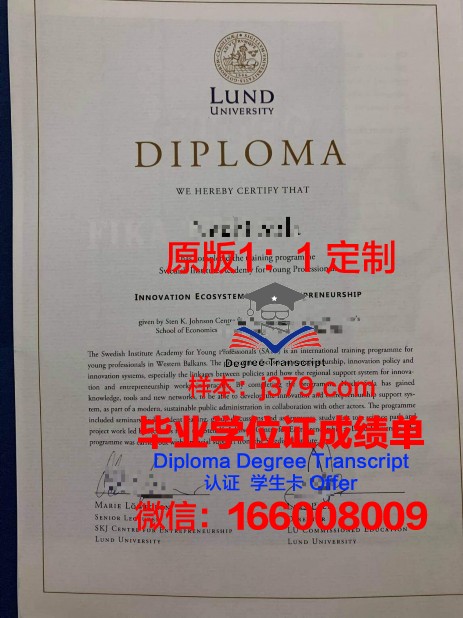 瑞典皇家理工学院学位证书(瑞典皇家理工学院英文授课)