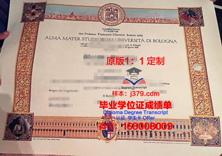 萨沃尼亚应用科学大学研究生毕业证(萨沃尼亚理工大学)