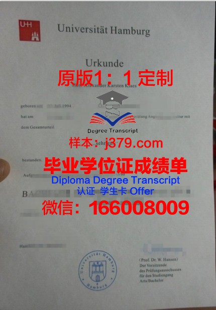 汉堡大学文凭(汉堡大学入学条件)