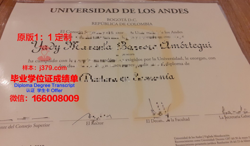 菲律宾大学洛斯班那斯分校成绩单：一份国际化的教育成果