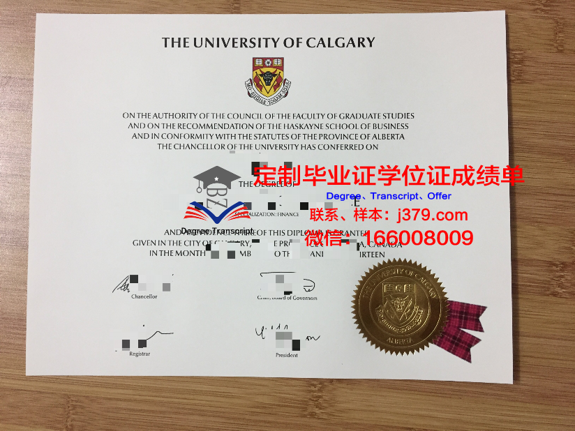 沙希德佐勒菲卡尔·阿里·布托科技学院毕业证壳子