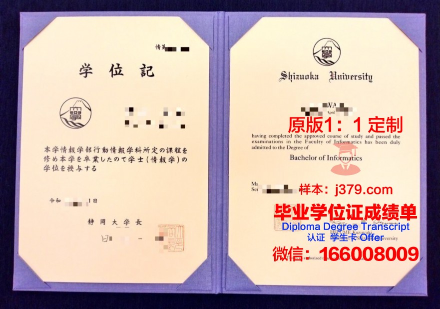 静冈国际航空专门学校毕业证是什么模样