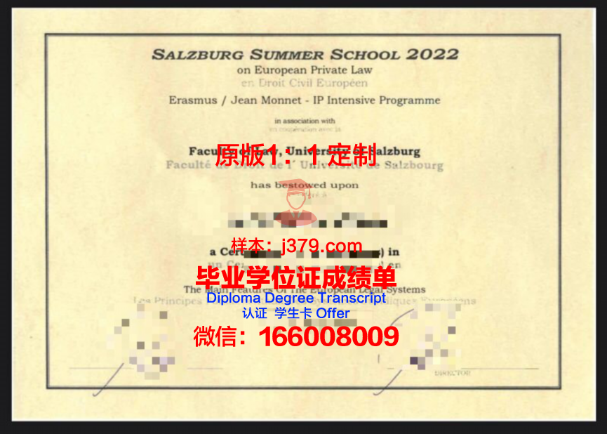 萨尔茨堡大学学位成绩单定制：探索学术诚信与合法途径