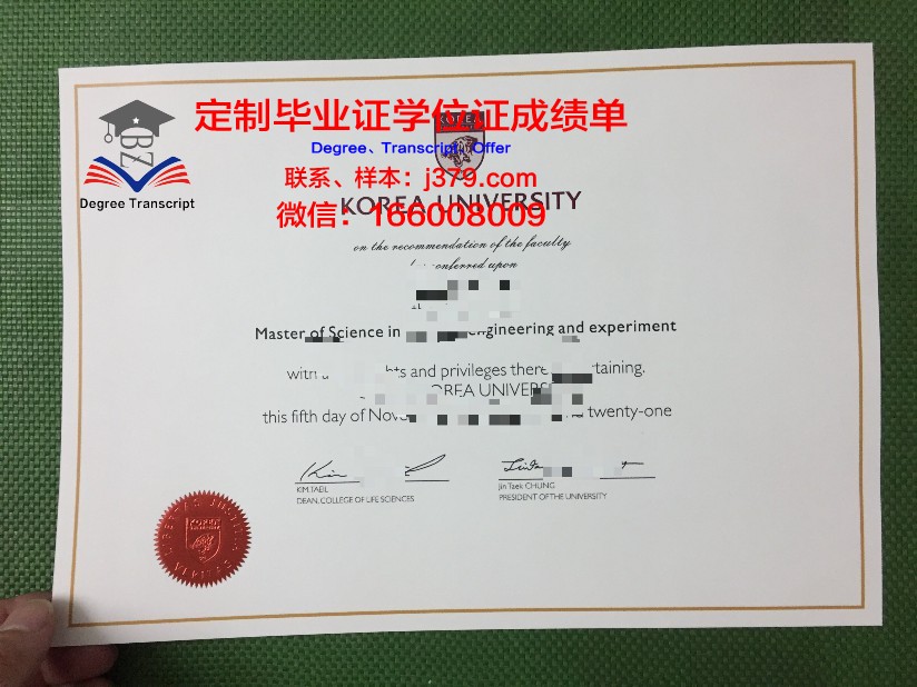 韩国本科毕业证丢了怎么办(韩国本科毕业有学位证吗)