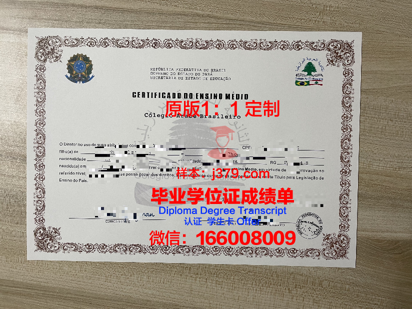 瓦加斯基金会巴西公共与企业管理学院毕业证电子版(巴西瓦加斯主义)