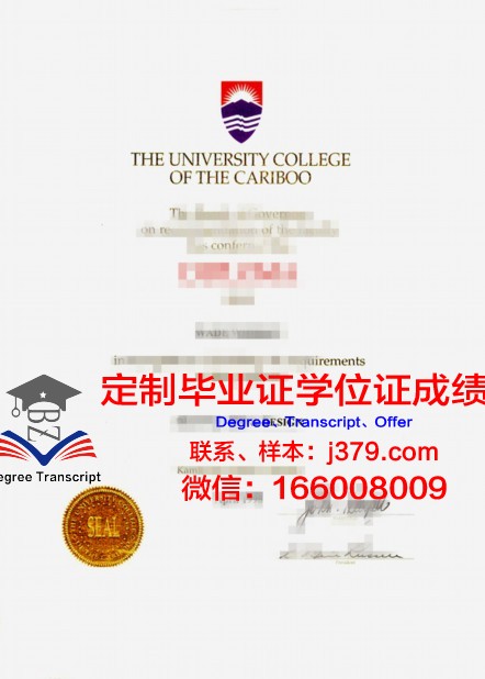 沙希德佐勒菲卡尔·阿里·布托科技学院毕业证壳子
