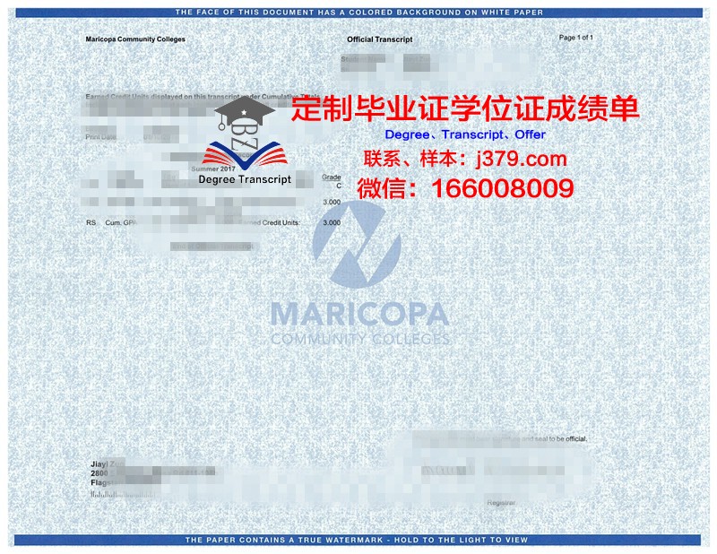 永进专门大学成绩单：记录学子成长足迹，见证教育质量提升