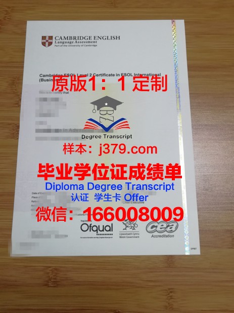 理工学位证书：知识与荣誉的象征