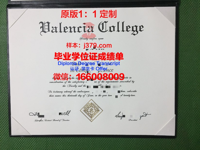 瓦伦西亚欧洲大学的毕业证啥样(瓦伦西亚大学官网)